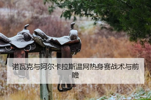 诺瓦克与阿尔卡拉斯温网热身赛战术与前瞻