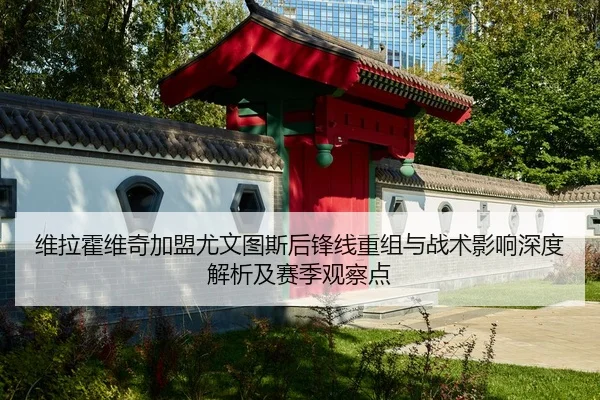 维拉霍维奇加盟尤文图斯后锋线重组与战术影响深度解析及赛季观察点（HG）